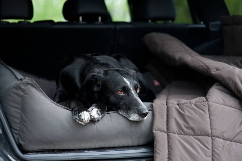 Orthopädisches Hundebett Sealand von Traumhund