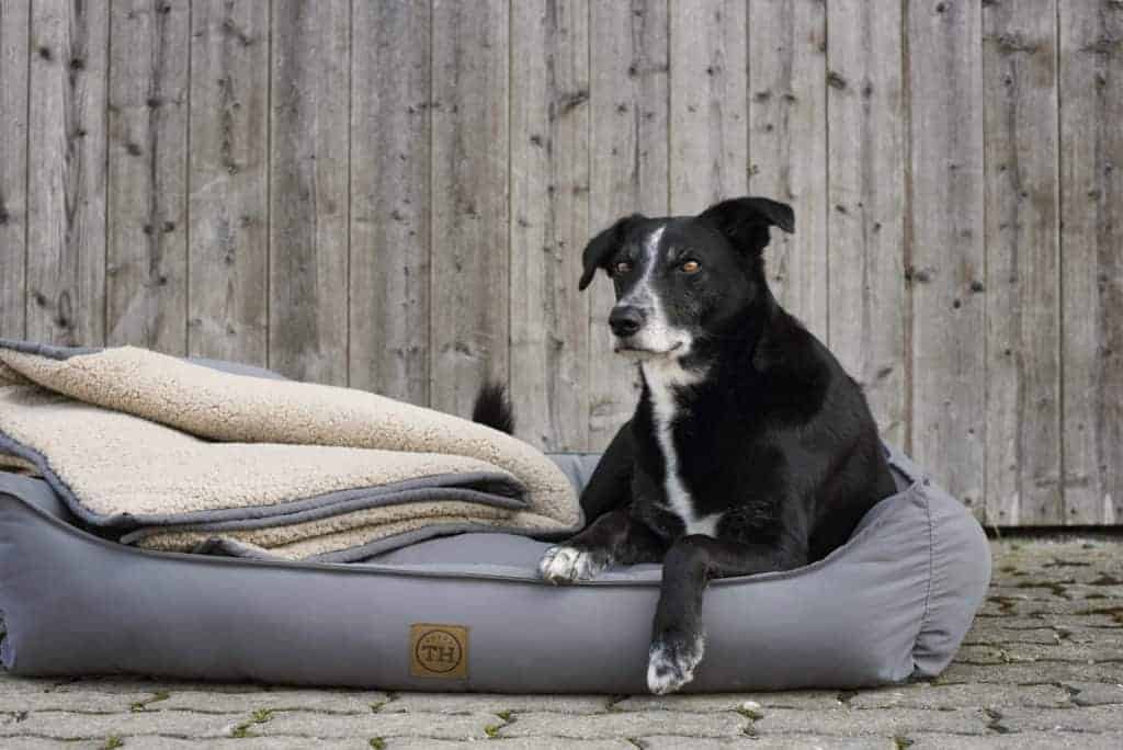 Hundedecke auf Hundebett Sealand Soft Grau