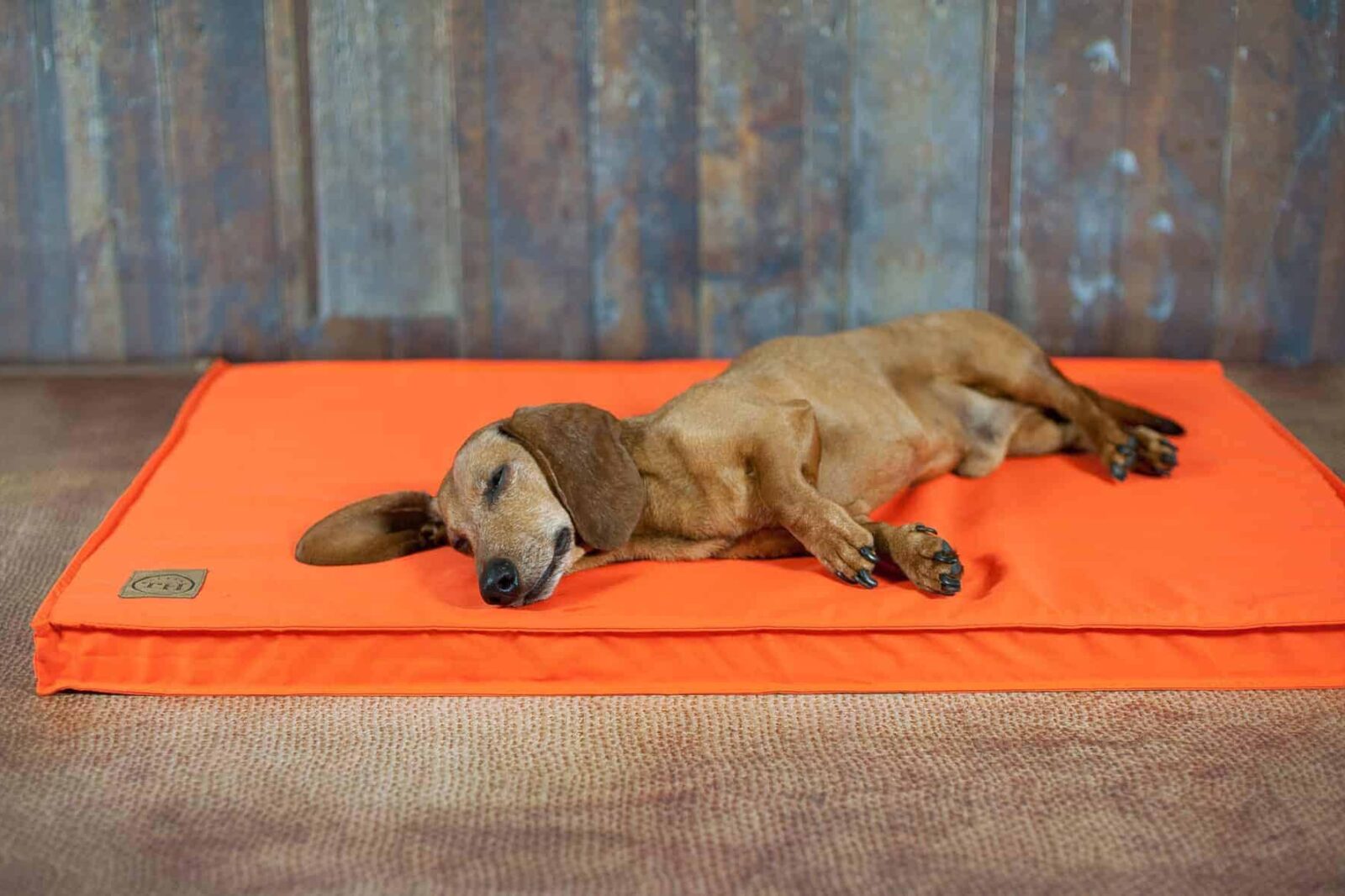 Orthopädische Hundematte Organic 95 Mango von Traumhund