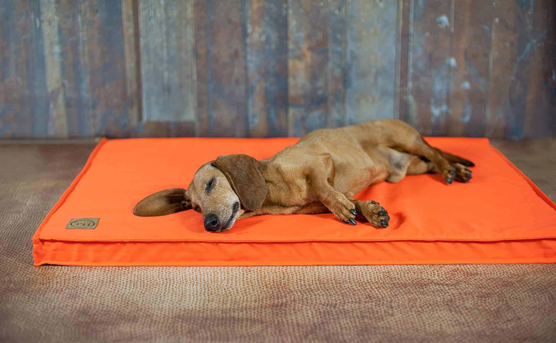 Bezug Organic 95 für Hundematten Neon Orange
