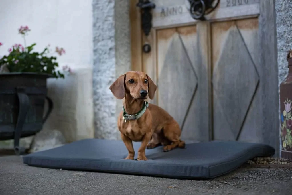 Orthopädische Hundematte Wallis aus Visco Schaum