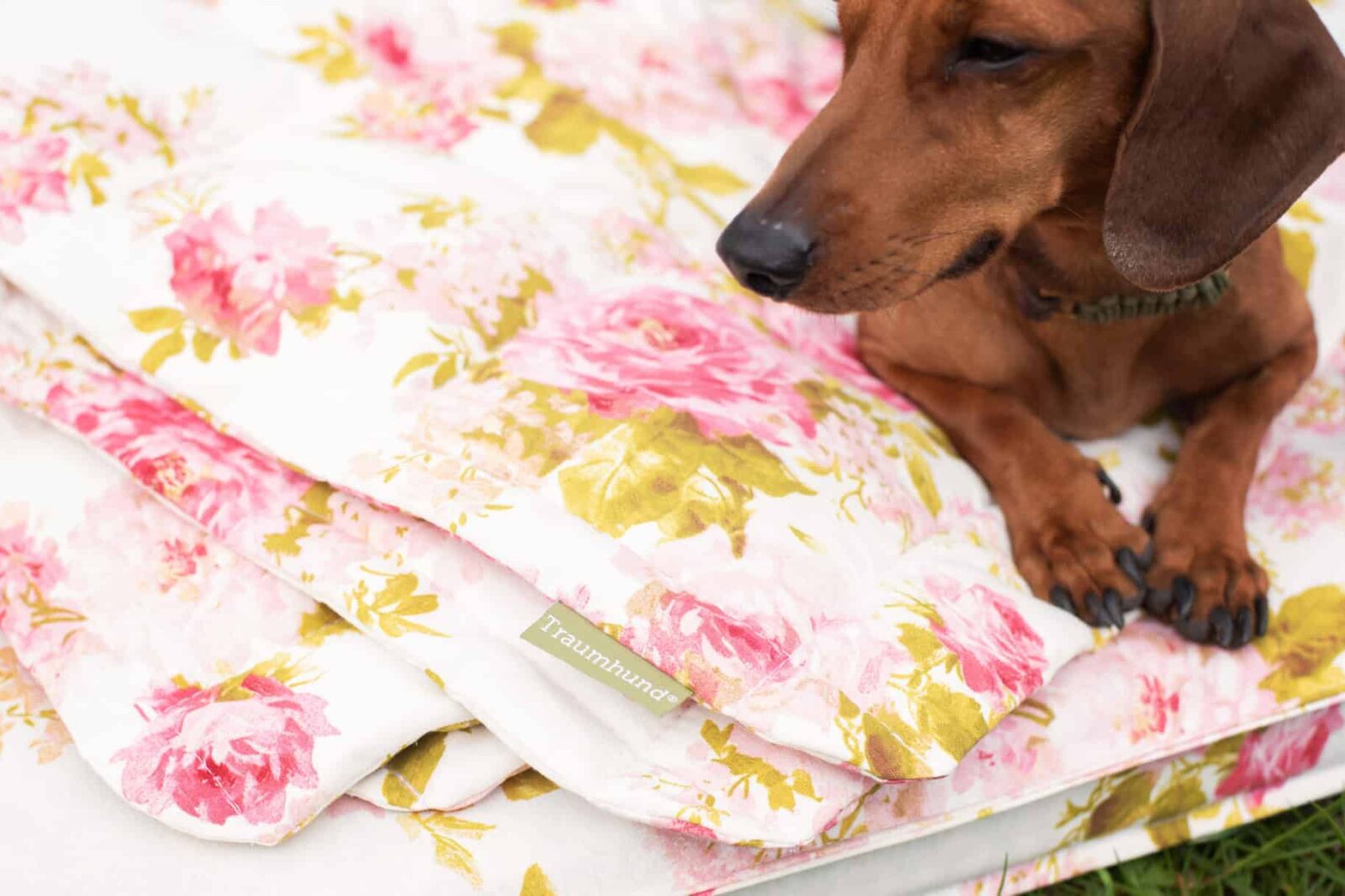 Orthopädische Hundematte Rosenstolz von Traumhund mit Decke