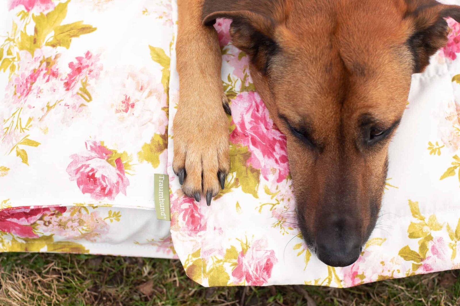 Orthopädische Hundematte Rosenstolz von Traumhund mit Decke