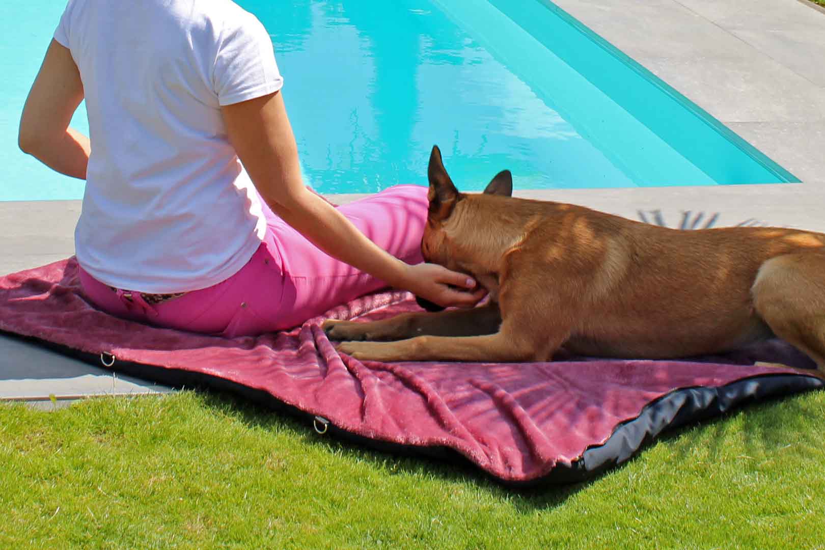 Traumhund® Picknick: Outdoordecke und Tasche Marine Berry mit Malinois am Pool