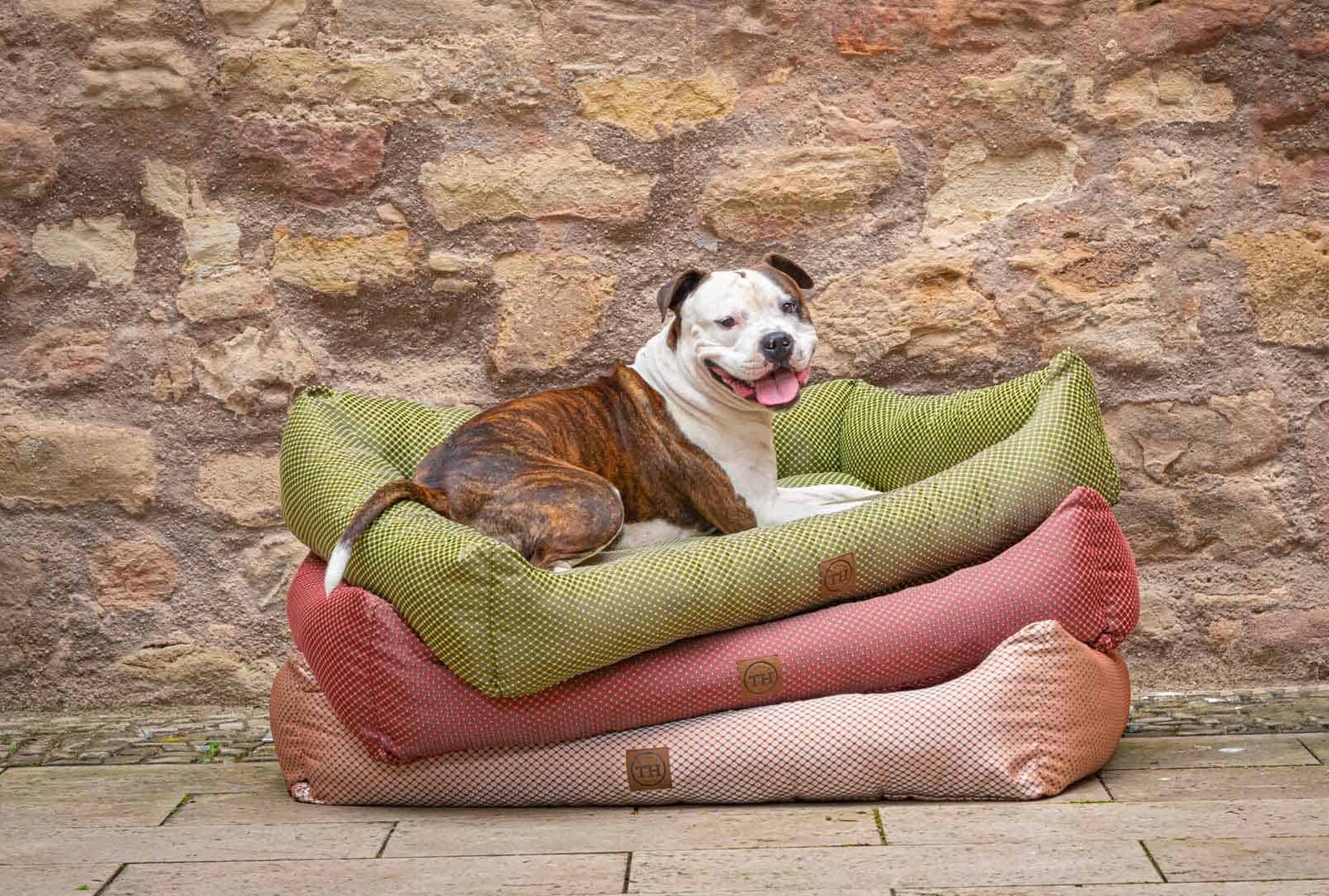 Hundebett CARA Farbübersicht mit Bulldogge