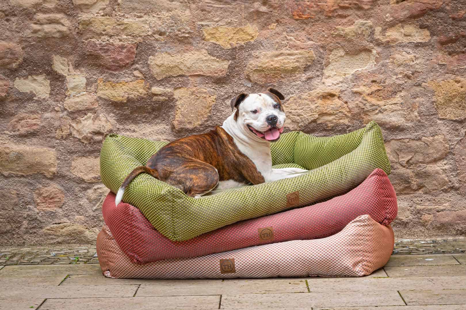 Hundebett CARA Farbübersicht mit Bulldogge