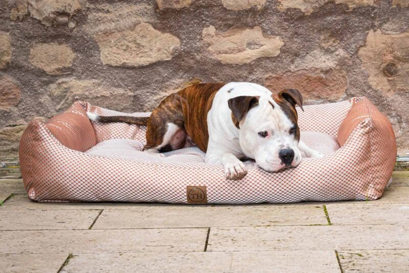 Hundebett CARA in Terracotta mit Bulldogge