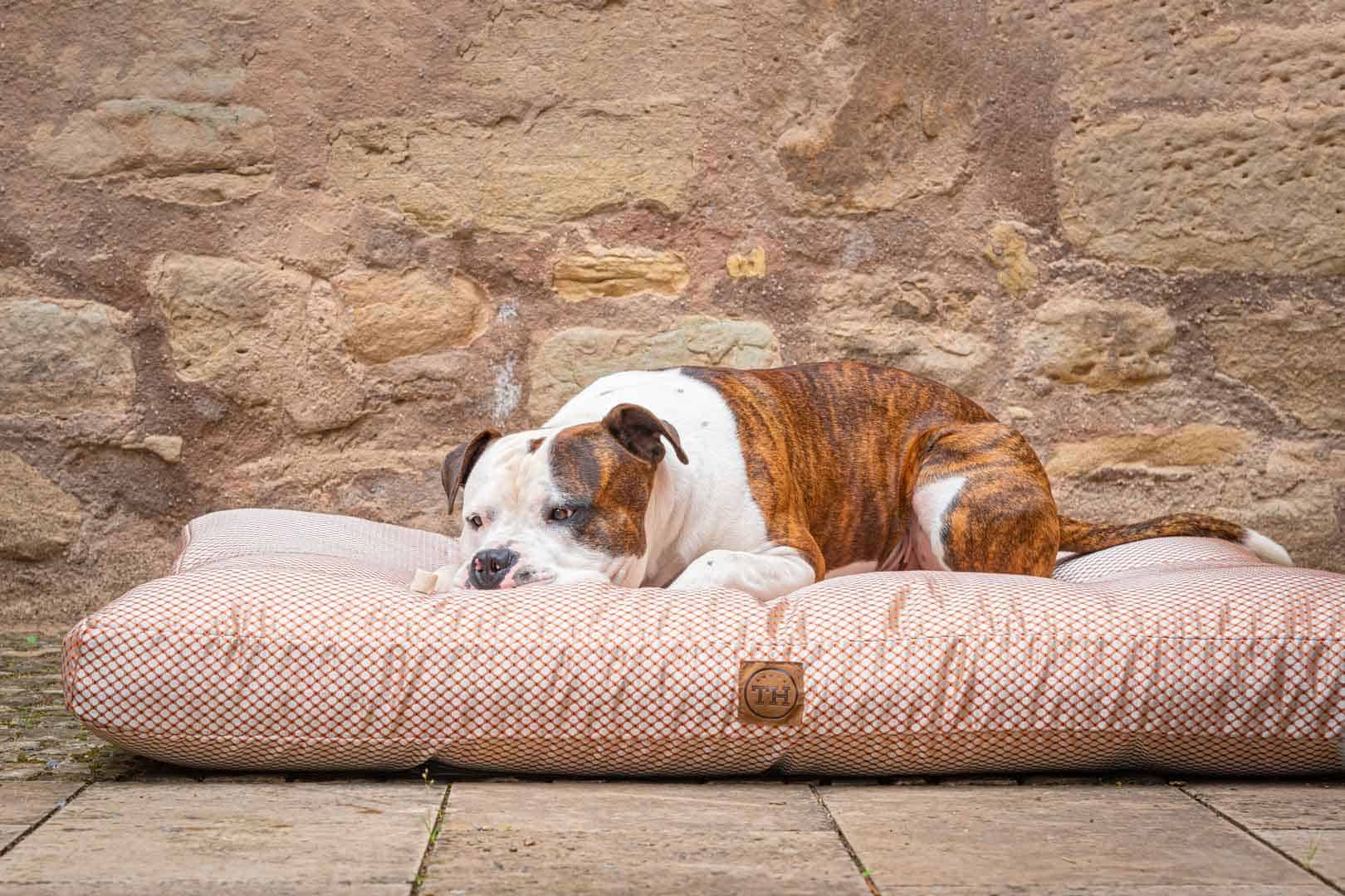 Hundekissen CARA in Terracotta mit Bulldogge