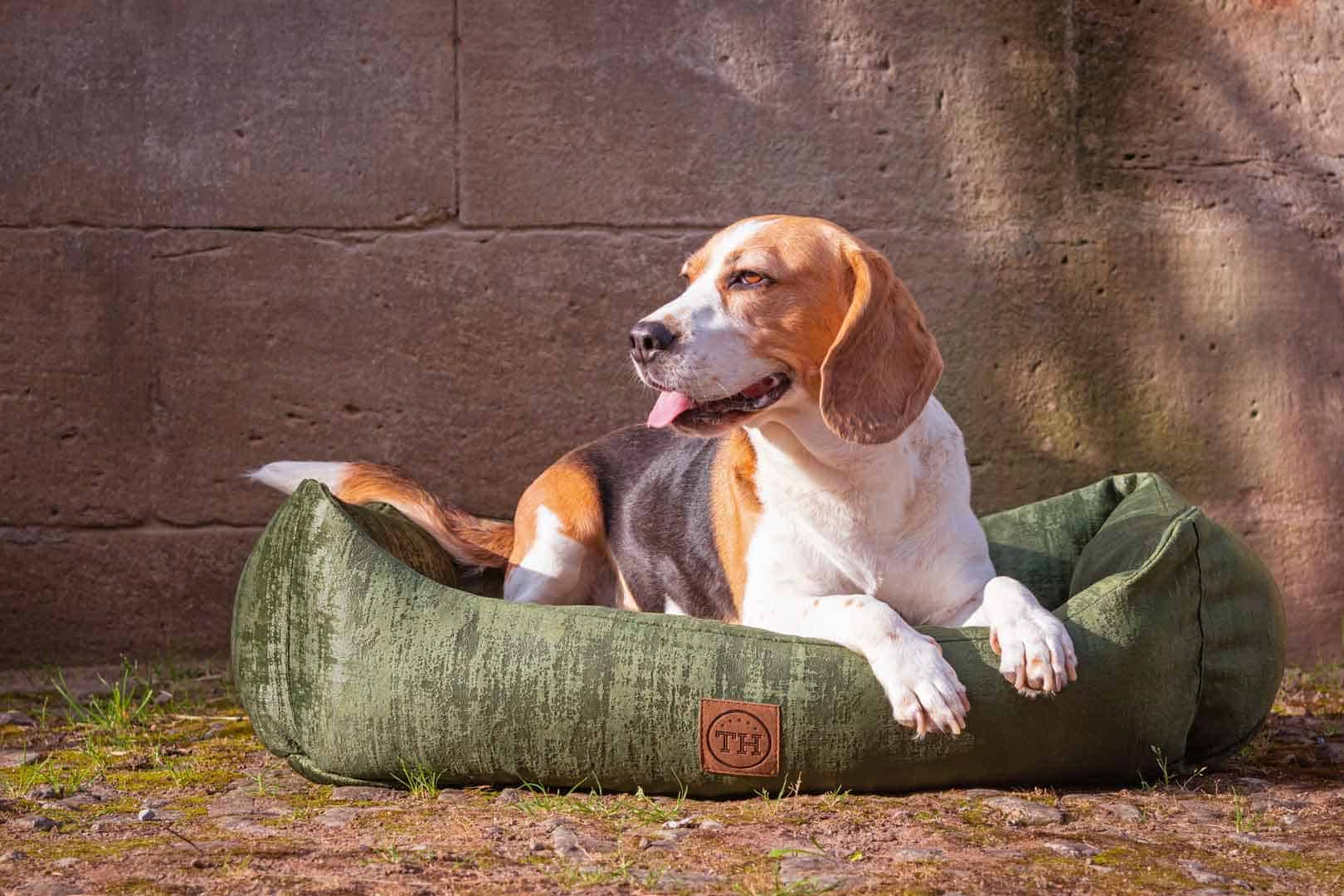 Hundebett Vintage-Samt in Dunkelgrün mit Beagle