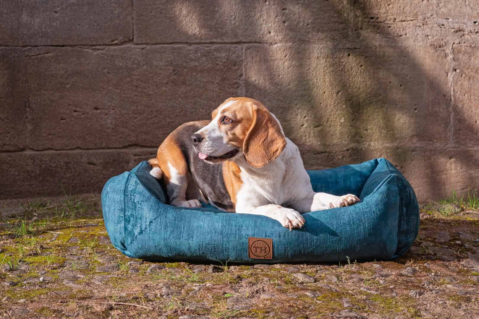 Hundebett Vintage-Samt in Royal-Blau mit Beagle