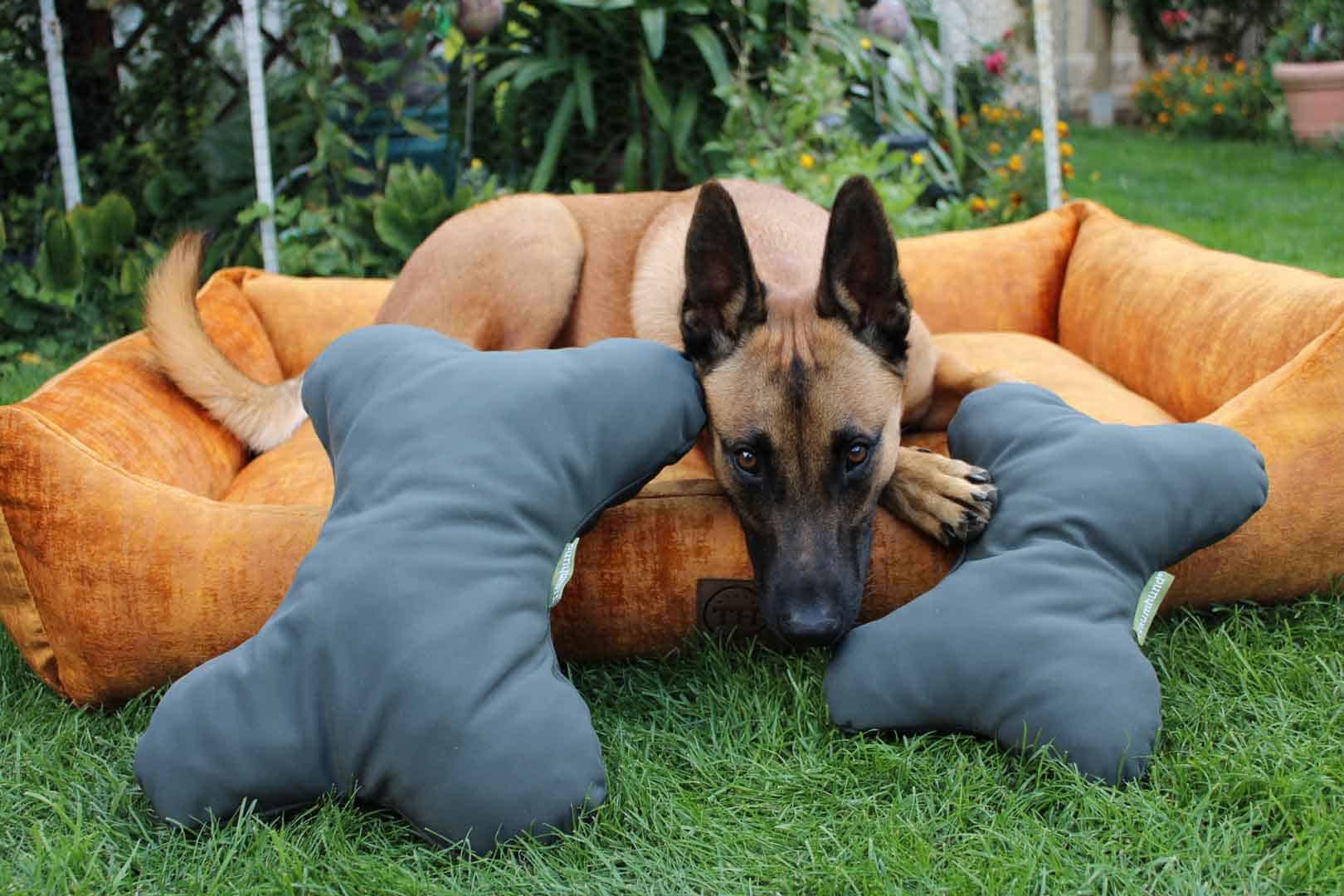 Kopfkissen für Vierbeiner - Traumhund® Pillow Hunting Green mit Malinois