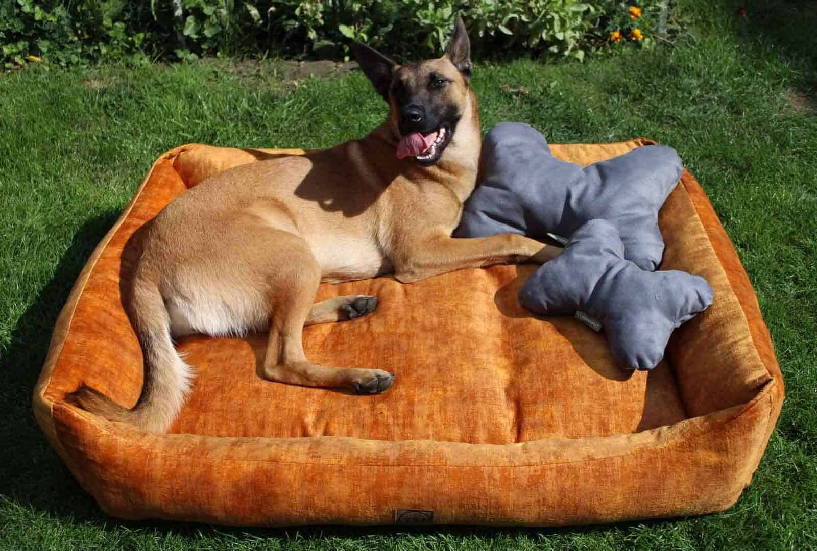 Kopfkissen für Vierbeiner - Traumhund® Pillow Schiefer mit Malinois