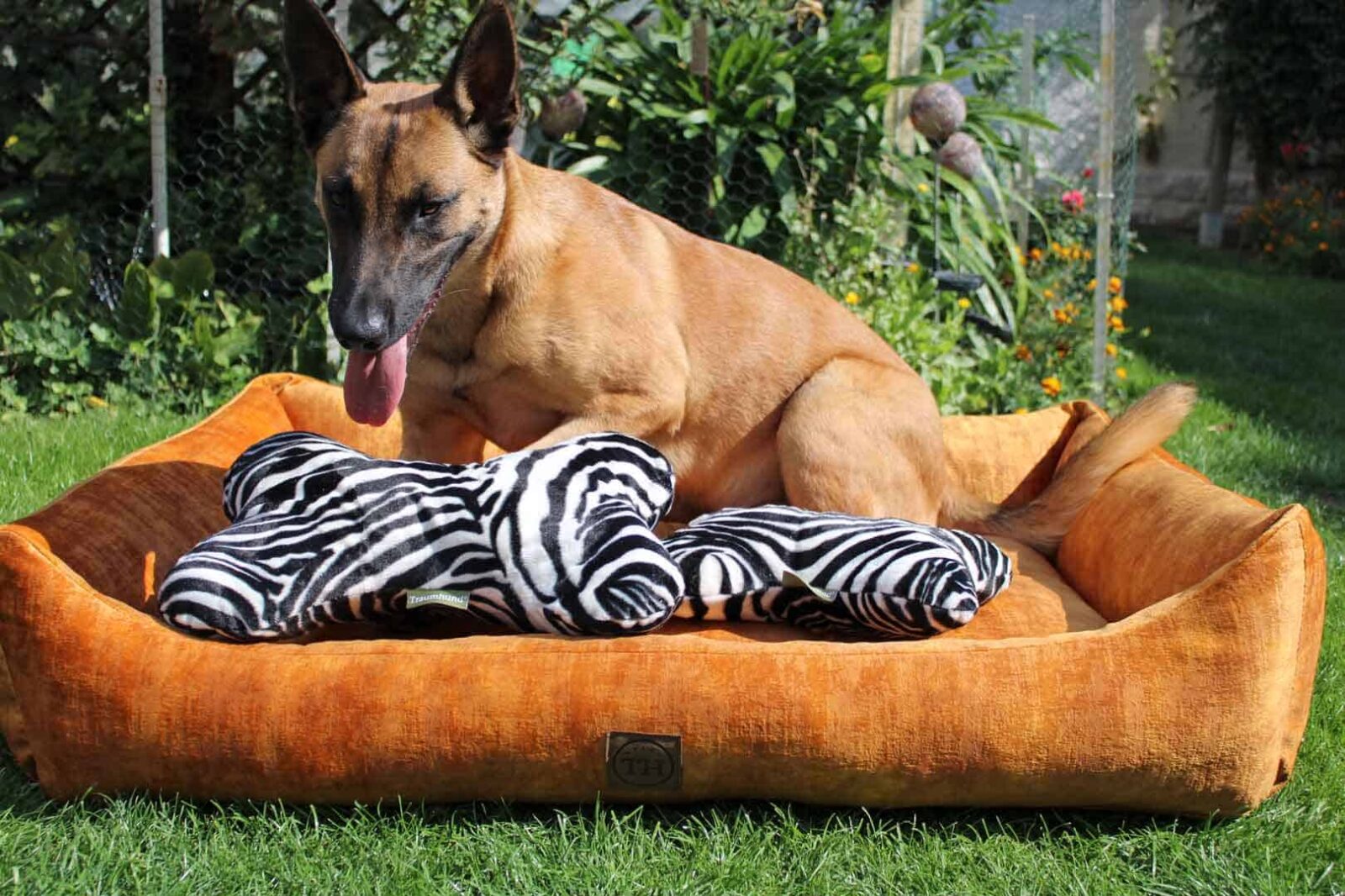 Kopfkissen für Vierbeiner - Traumhund® Pillow Zebra mit Malinois