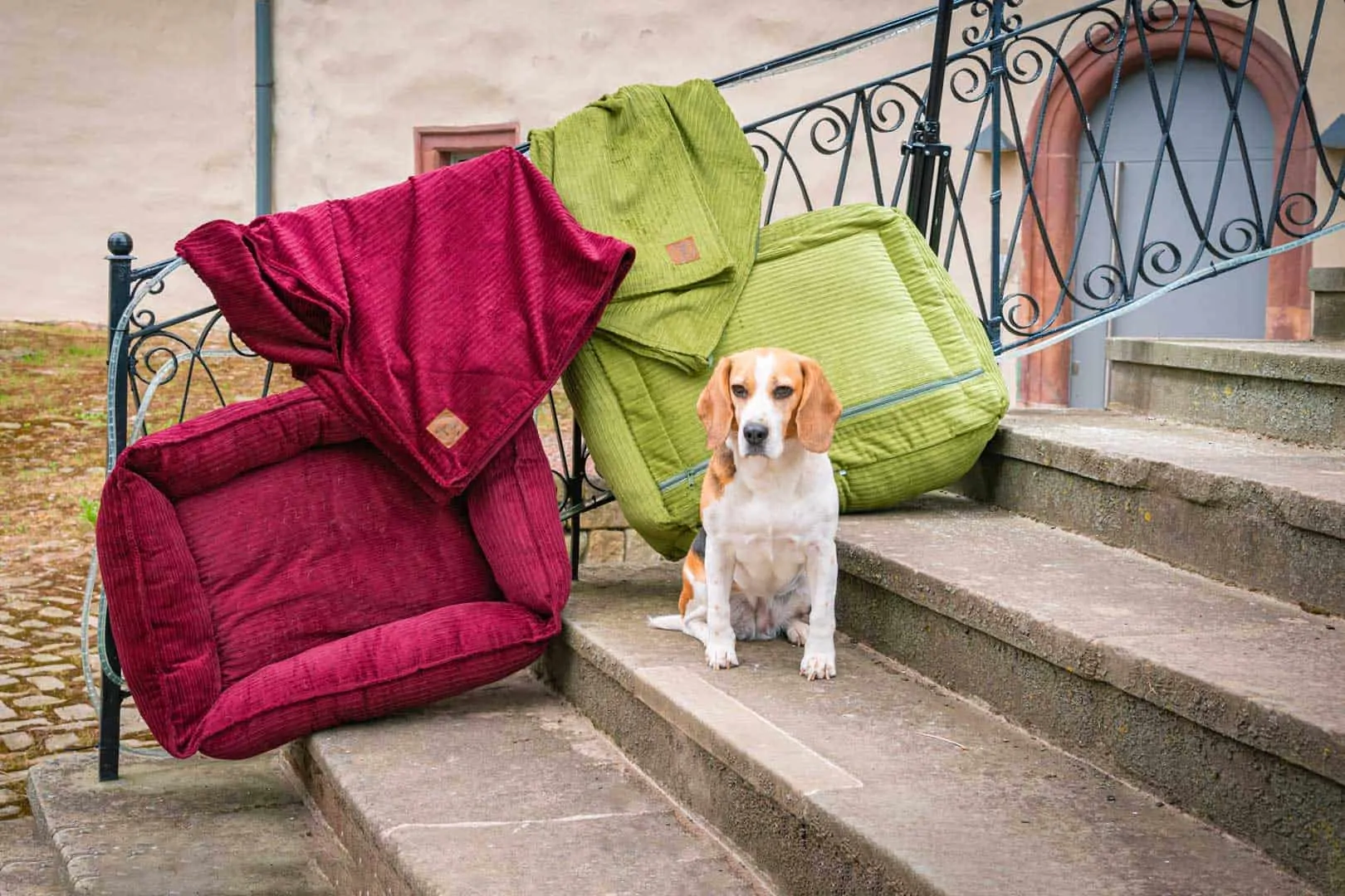 Hundebett Boheme und Bezug Farbübersicht mit Beagle