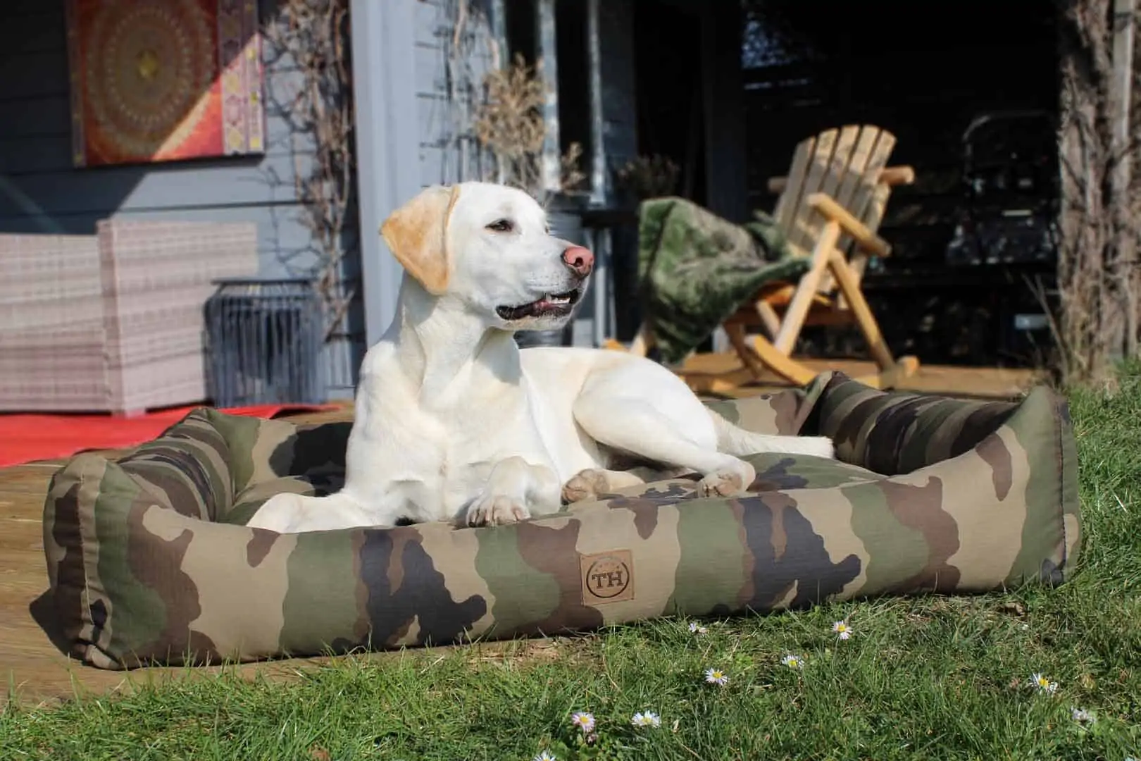 Hundebett und Hundedecke Adventure Camouflage mit Golden Retriever
