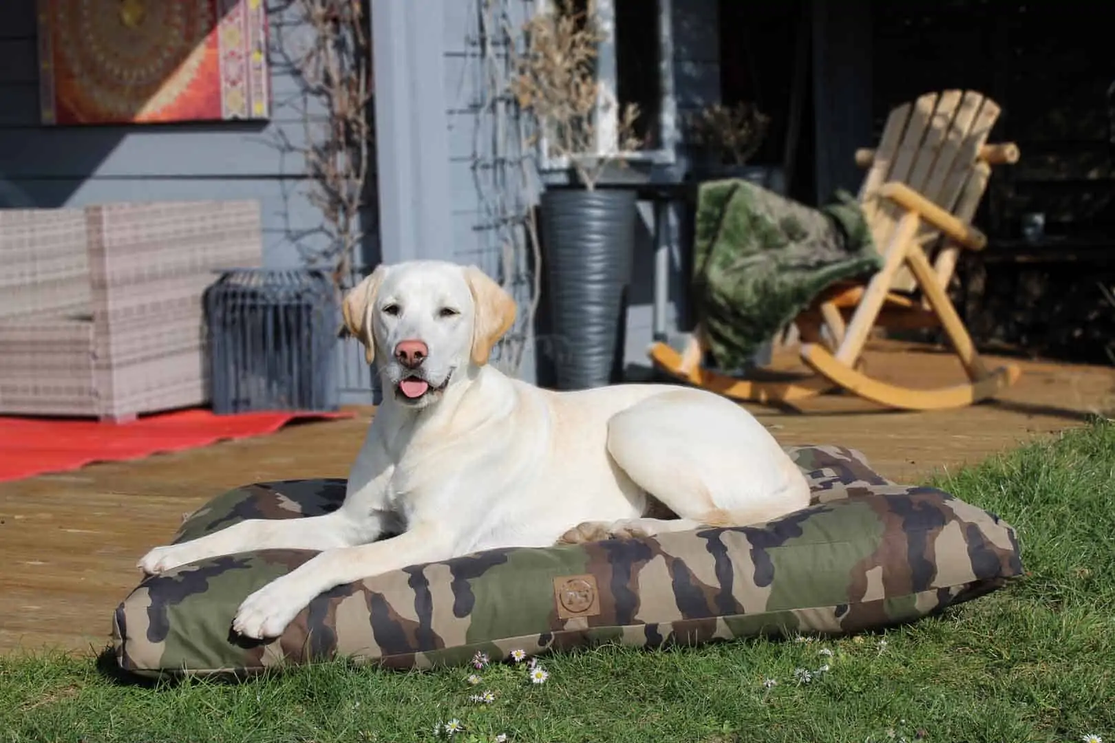 Hundebett und Hundedecke Adventure Camouflage mit Golden Retriever