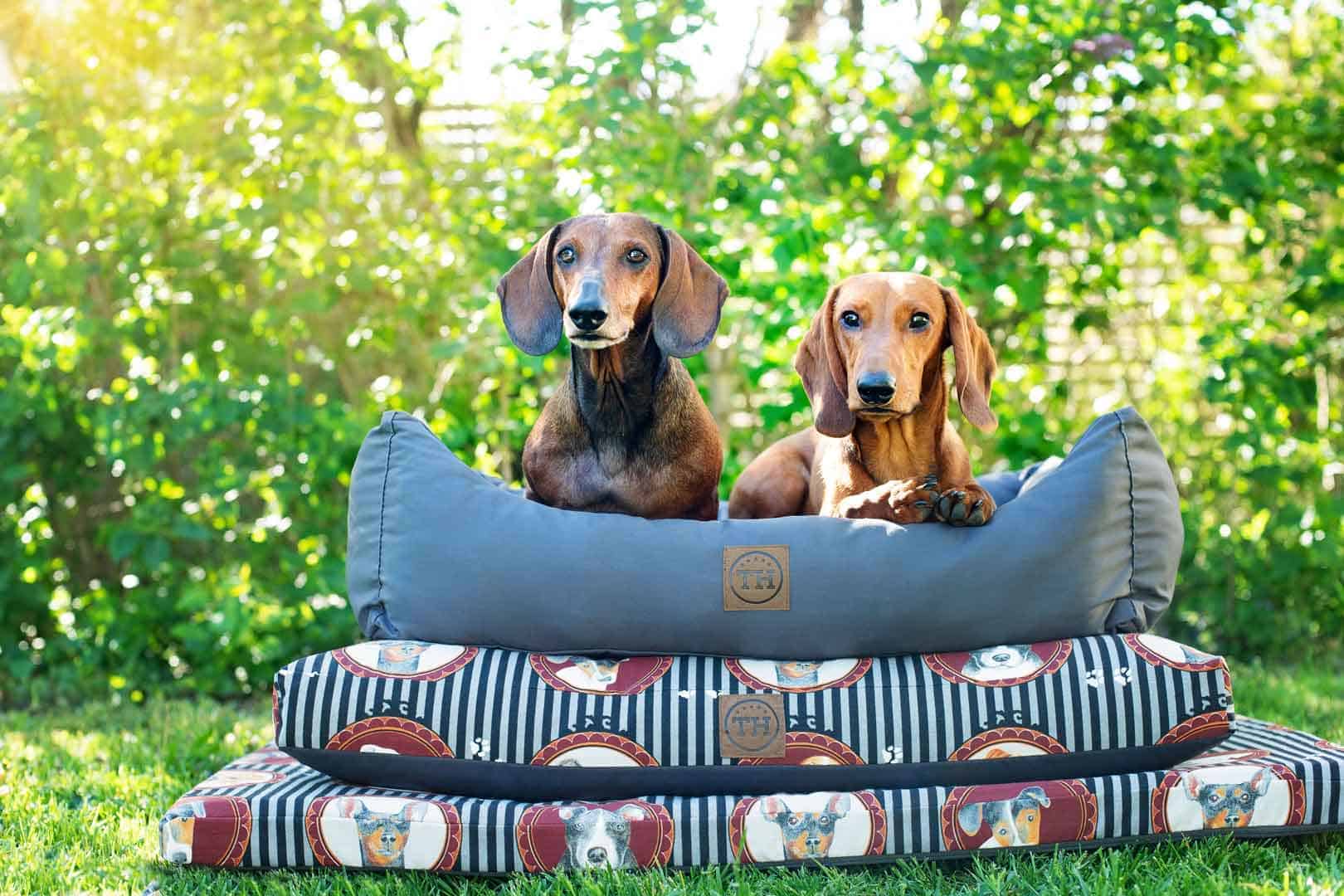 Lucky Dogs Kollektion mit 2 Dackeln auf Hundebett, Hundekissen und Hundematte