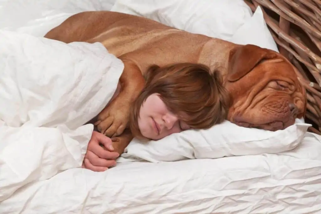 Mädchen schläft mit Hund im Bett - Kontaktliegen