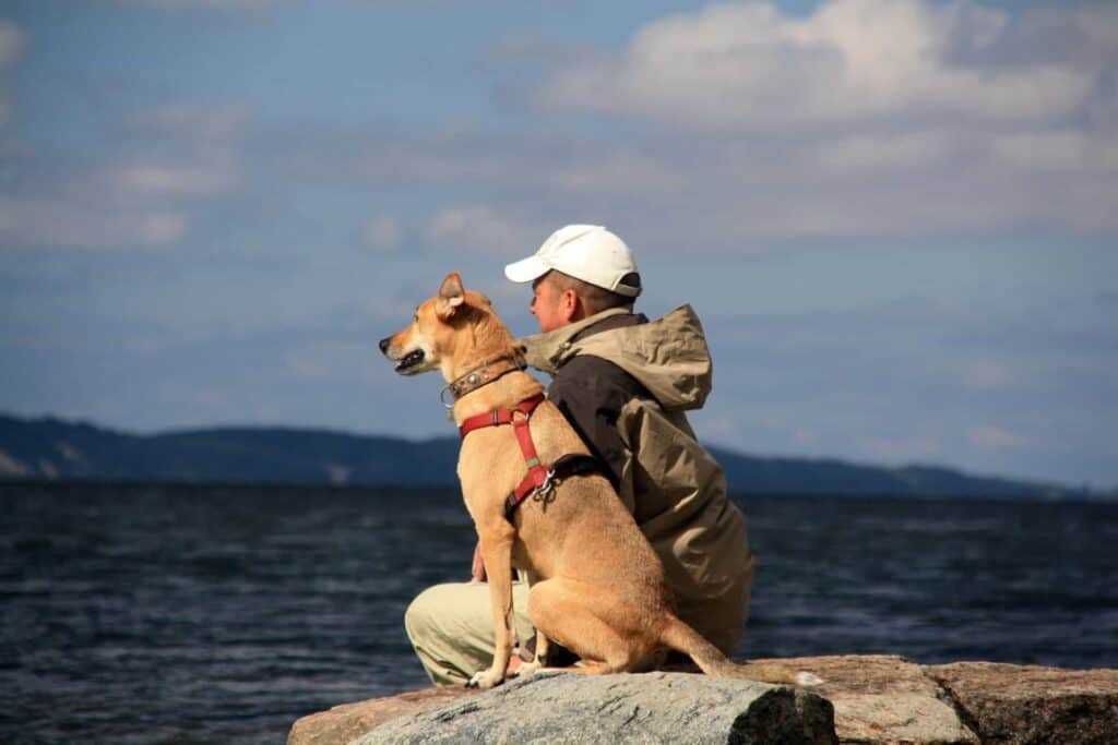 Pause mit Hunde am Meer auf Rügen