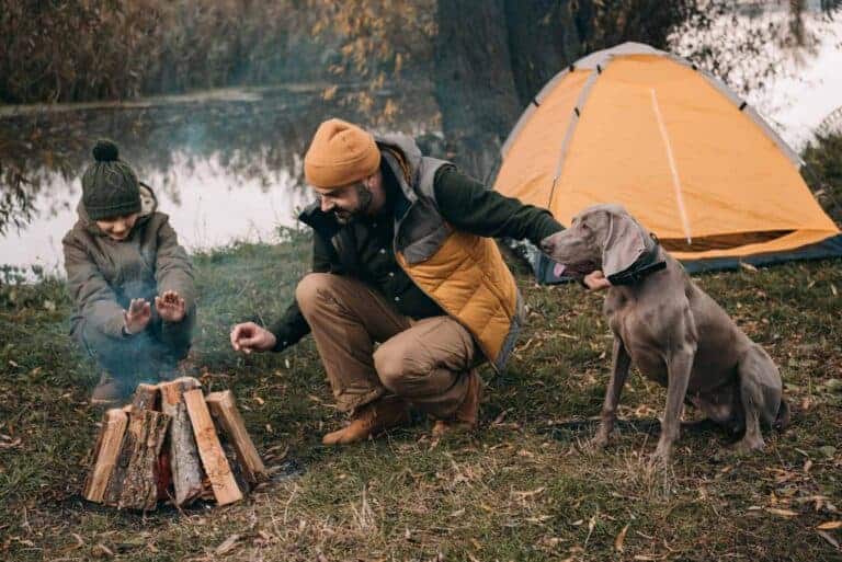 Sohn und Vater machen ein Lagerfeuer auf einem Campingplatz in der Natur, Hund sitzt in der Nähe