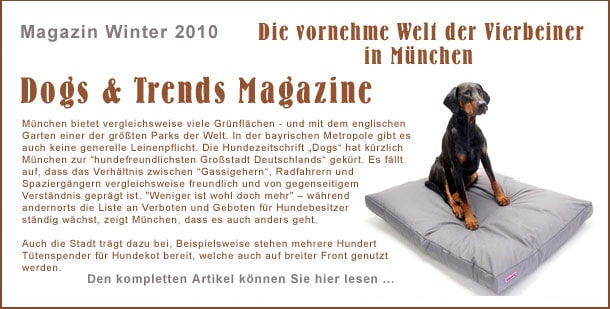 Traumhund bei Dogs & Trends Magazine