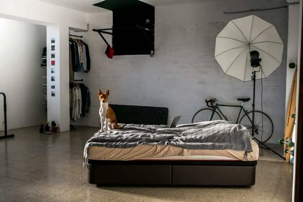 Luxus-Hundebetten von Traumhund