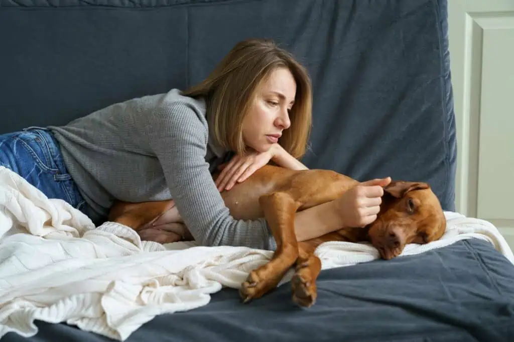 Hundebetten zur Schmerzprävention bei Hunden