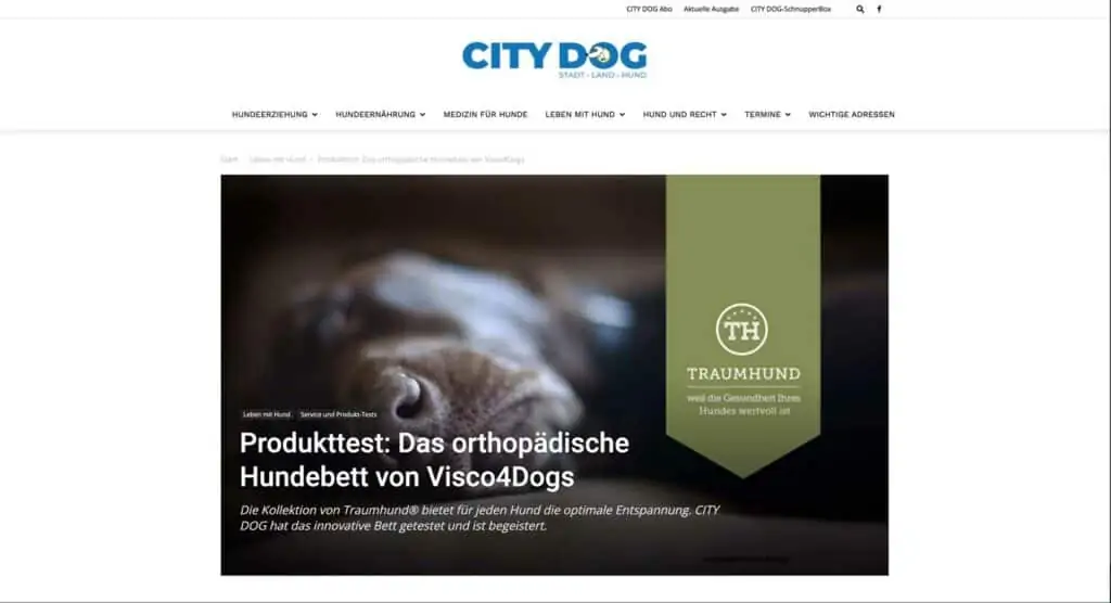 Citydog Website Traumhund