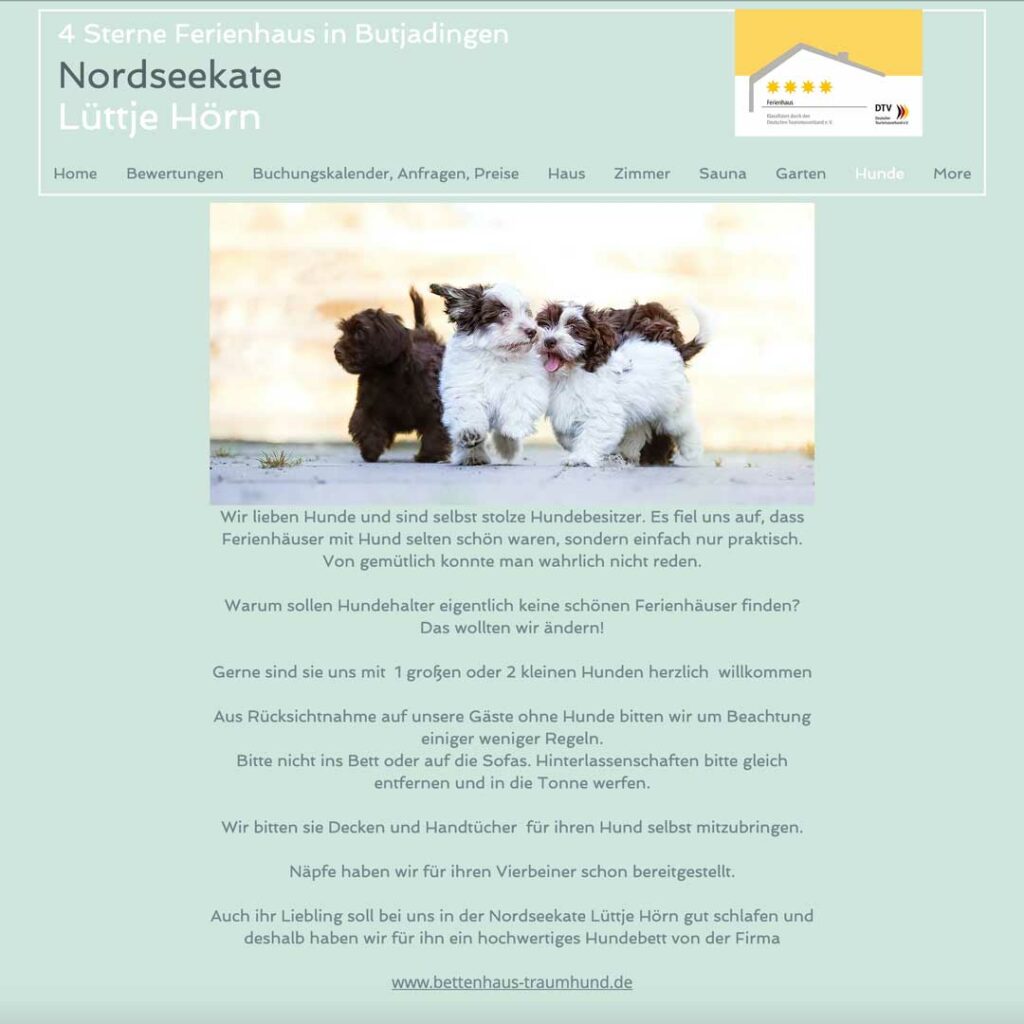 Lüttje Hörn Website Traumhund