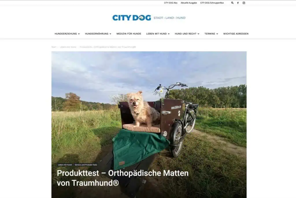 CityDog24 Produkttest  Orthopädisches Matten von Traumhund